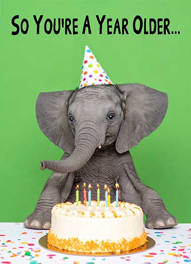 Age is Irrelephant Funny Birthday     Age is Irrelephant